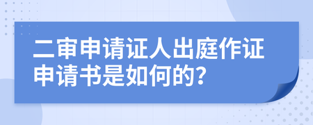 二审申请证人出庭