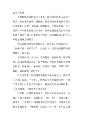 这个寒假怎么样作文