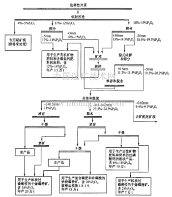 农业分公司是怎么组成的