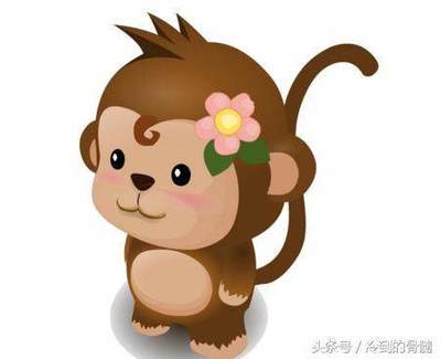属猴人的财运