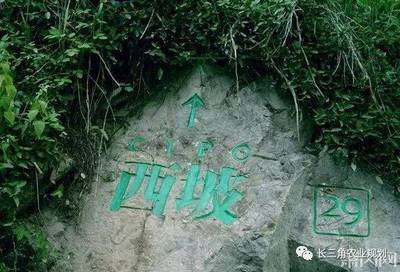 最大气农场名字大全