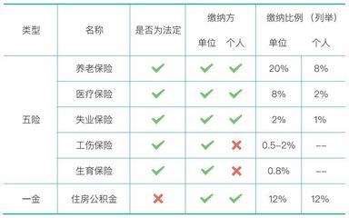 试用期交保险吗