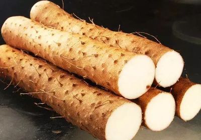 减肥可以吃山药吗