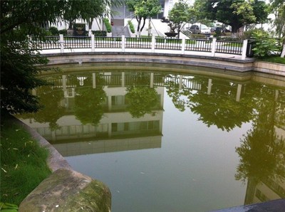 家庭鱼池设计