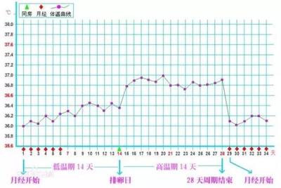 体温多少算是排卵后高温