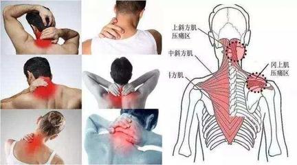 肩膀骨头疼是怎么回事