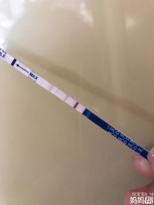 验孕棒未怀孕
