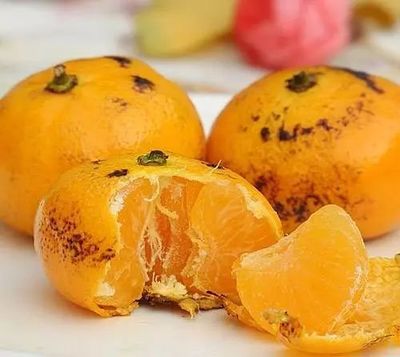 感冒咳嗽能不能吃橘子