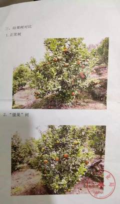 果树保险赔偿标准