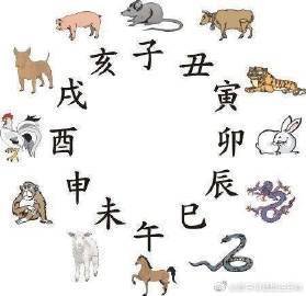 八字带戌亥