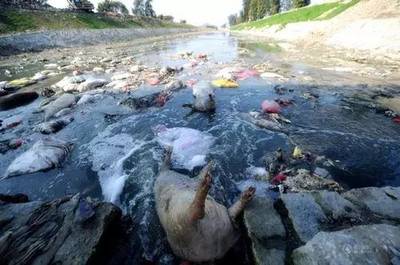 怎么描述水被污染