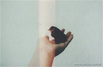 周公解梦 梦见自己杀人