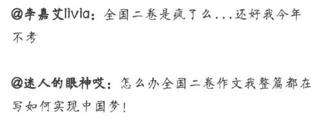 什么什么有我作文