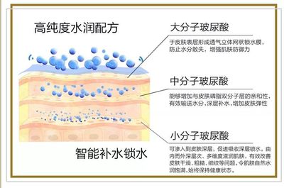 皮肤美白的原理