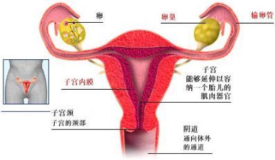 经血呈褐色是怎么回事