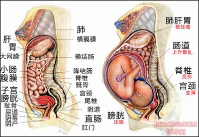 怀孕初期呼吸困难