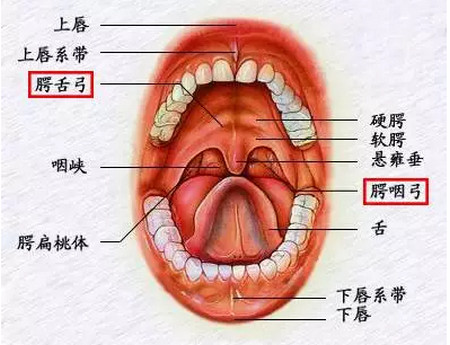 三岁宝宝扁桃体肥大怎么办