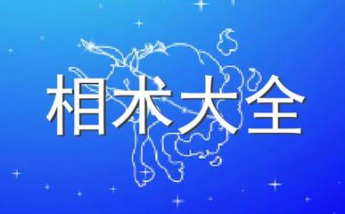 查手相看命运