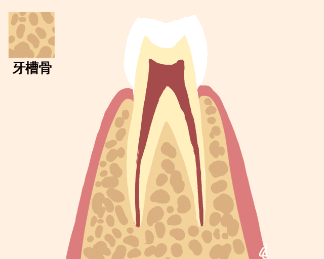 青少年牙齿掉落