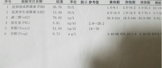 卵泡期 排卵期