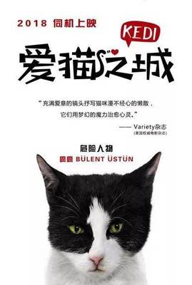 瑞丰体育在线登录官网