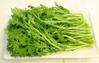 孕妇可以吃茼蒿吗