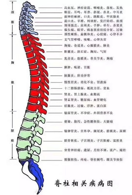 颈椎弯曲怎么治疗