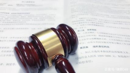 公司可以起诉个人吗