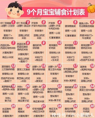九个月宝宝一天食谱表