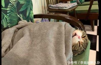梦见自己被