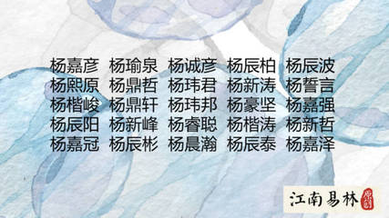 杨姓男宝宝取名大全