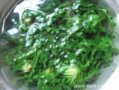 韭菜减肥能吃吗