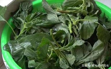 孕妇可以吃蒜泥吗