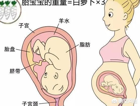 为什么怀孕会生化掉
