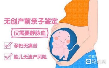 产前dna亲子鉴定