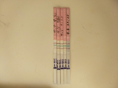 强阳的孕酮是多少钱一盒
