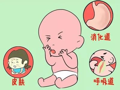 宝宝容易过敏的食物