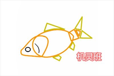 幼儿园鱼怎么画