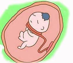 怀孕爱吃甜食生男生女