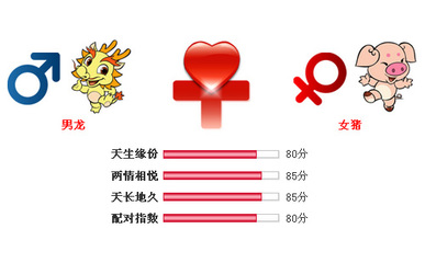 属猪的跟属龙的相配吗