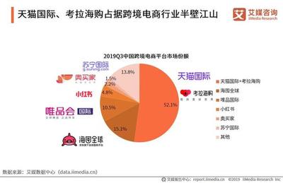 2020年电商新零售大数据排行