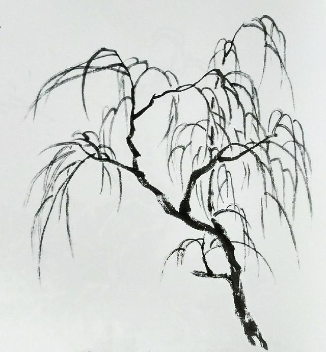 怎么画半个柳树