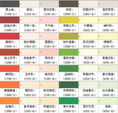 墙面色卡