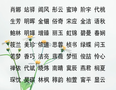 女孩带臻的名字