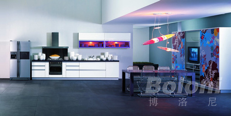 博洛尼橱柜 广州门店