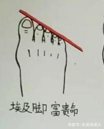 脚的形状看命运