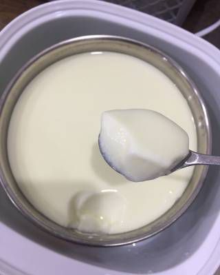 用奶粉怎么自制酸奶