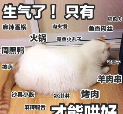 怀孕两个月能吃芒果吗