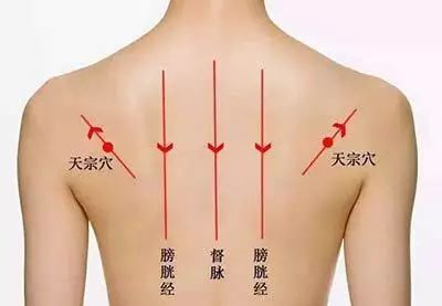 左边肩膀疼是怎么回事