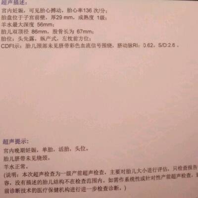 31周是怀孕几个月